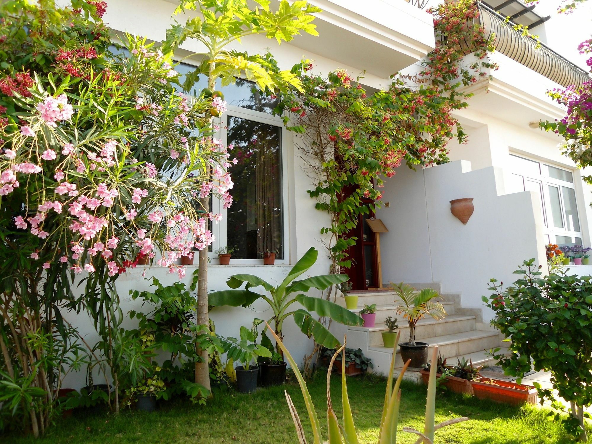 Lana Villa Muskat Bagian luar foto
