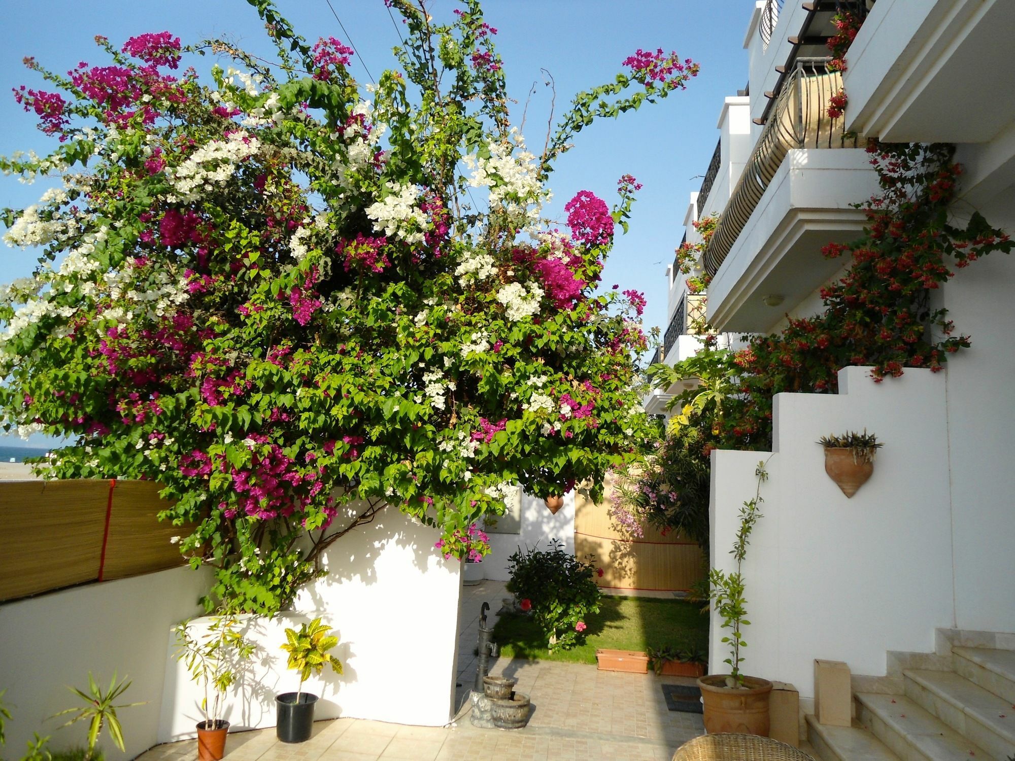 Lana Villa Muskat Bagian luar foto